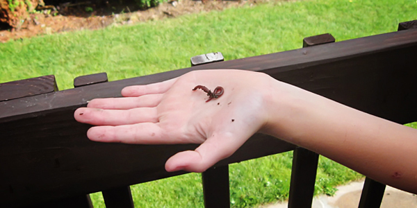 Would I be over-sharing if I told you I have worms?