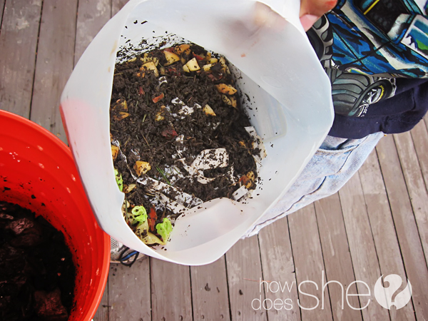 Make Your Own Worm Farm