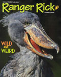 rangerrick rangerrick