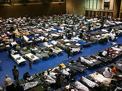 red cross beds