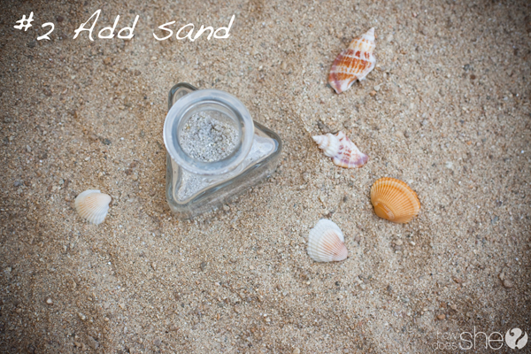 Seashells in a jar