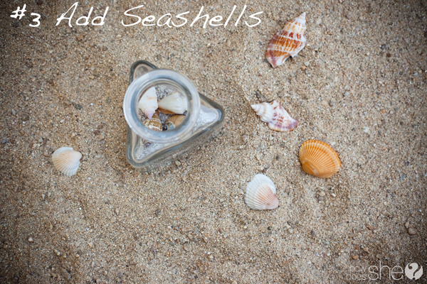 Seashells in a jar