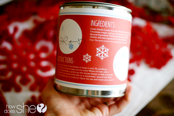 Make a can of snow