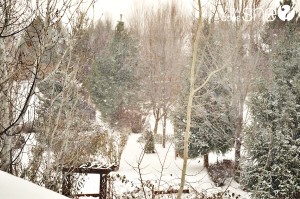 snowyday_zpsbc35ffbb copy