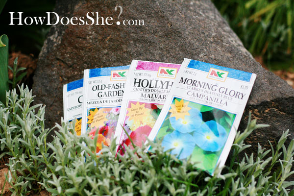 Plantable Seeded Paper Flowers