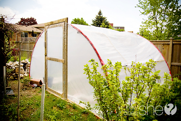 How to Create a Greenhouse out of a Trampoline How to Create a Greenhouse out of a Trampoline