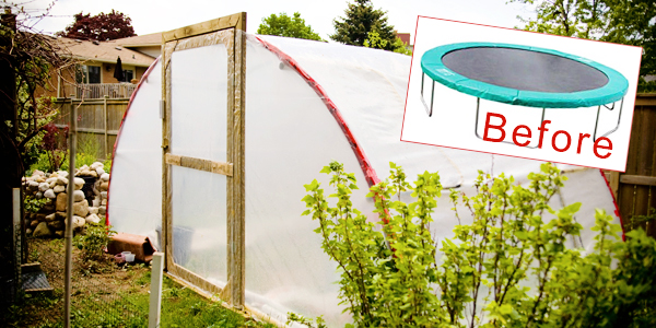 How to Create a Greenhouse out of a Trampoline How to Create a Greenhouse out of a Trampoline