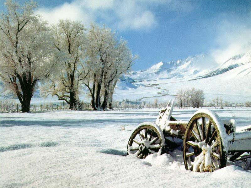 November Events in Boise