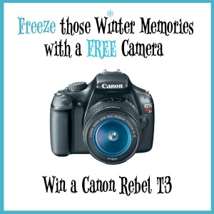 wintercamera